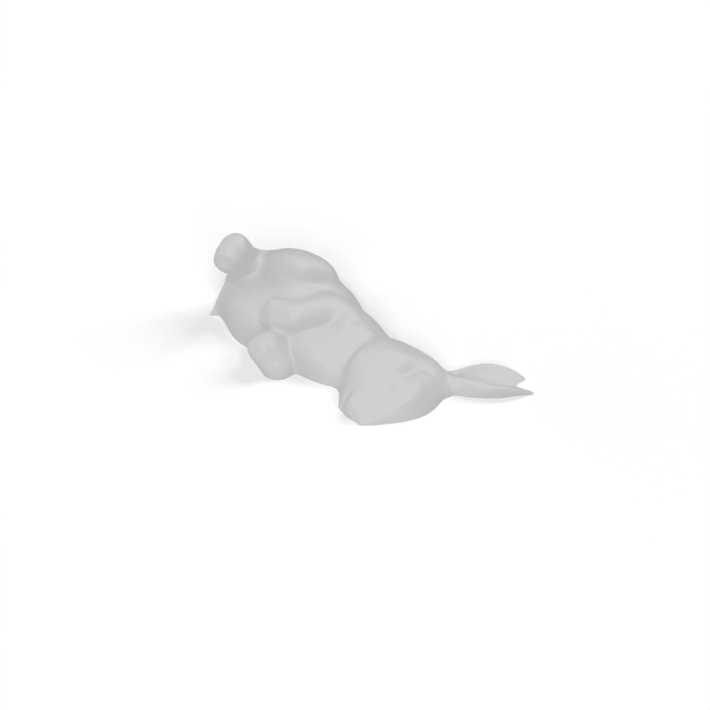 smoothed bunny