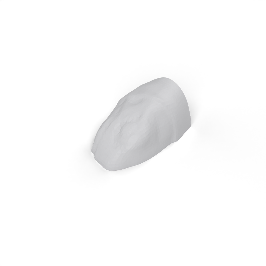 head