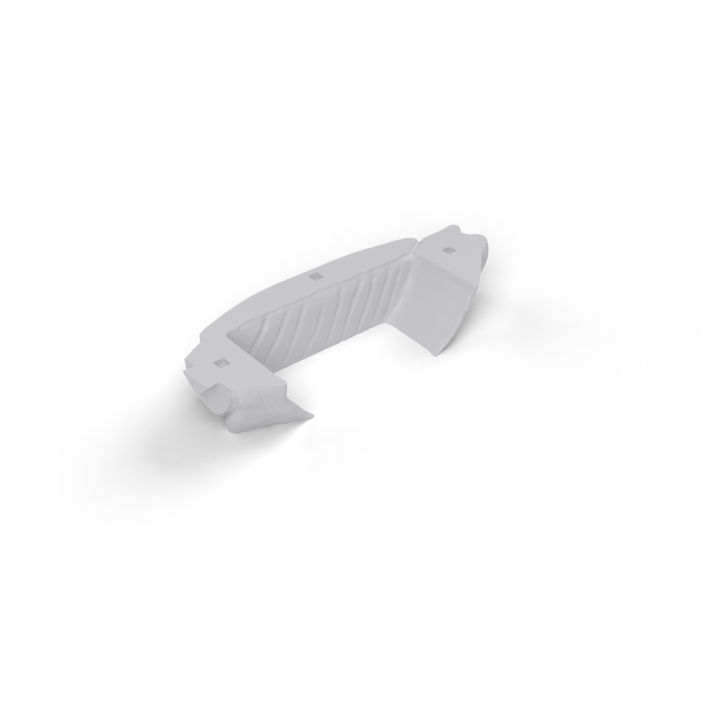 left body