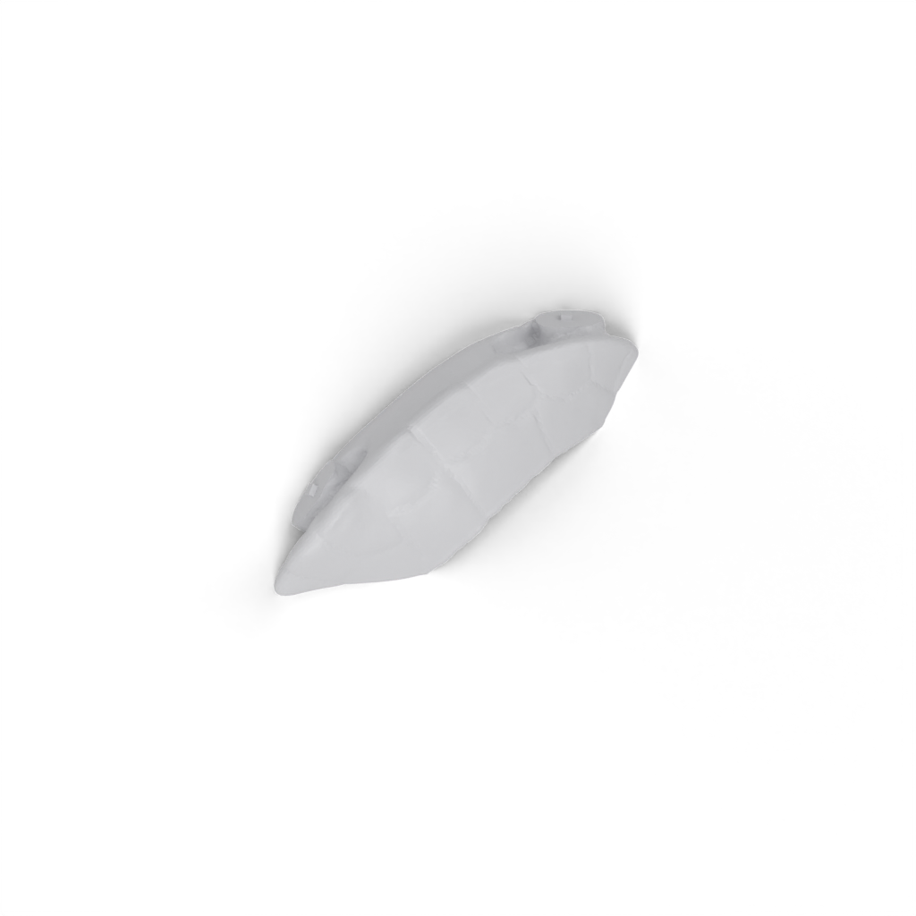 left body view 3