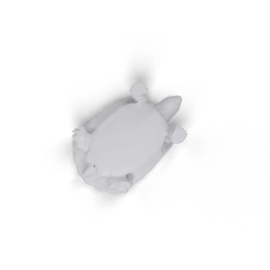 turtle view 3
