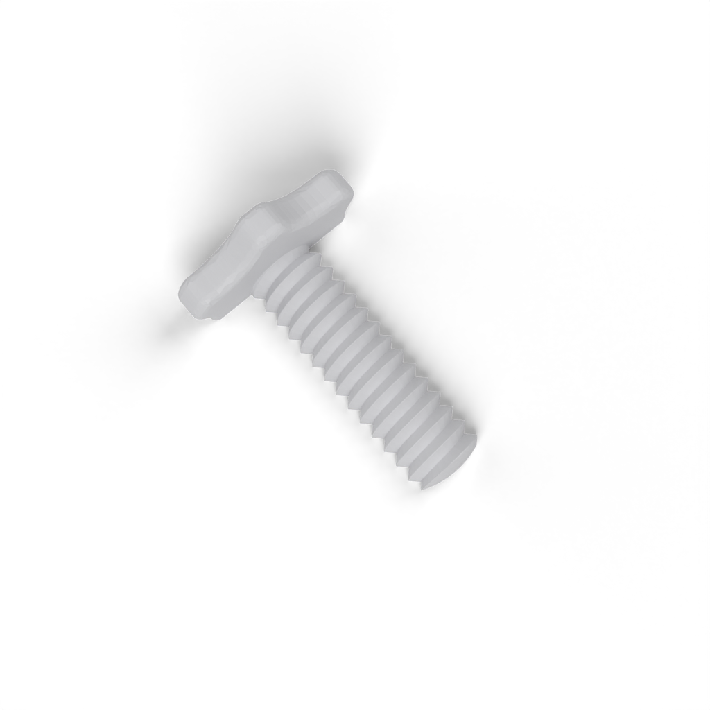 Screw view 4