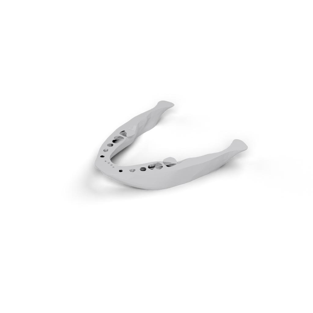 jaw lower