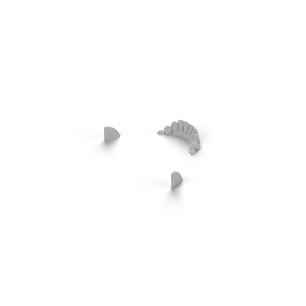 jaw top view 2