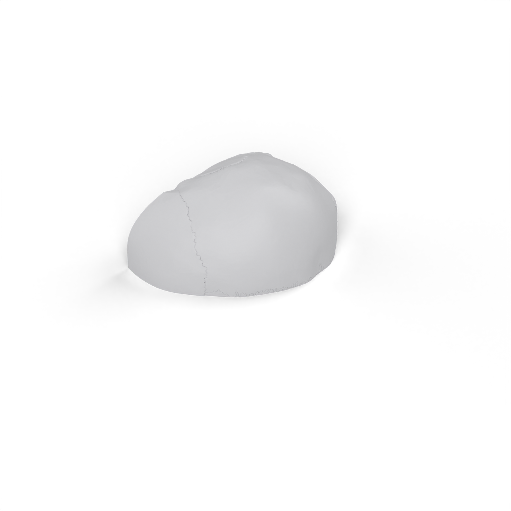 skull Back
